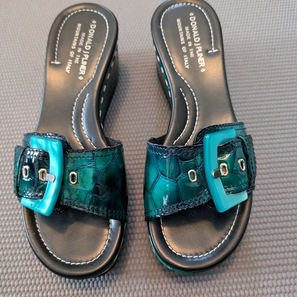 Donald Pliner shoes size 6